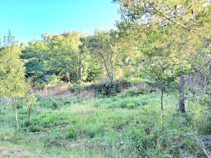 Terrain constructible - 1 272 m²