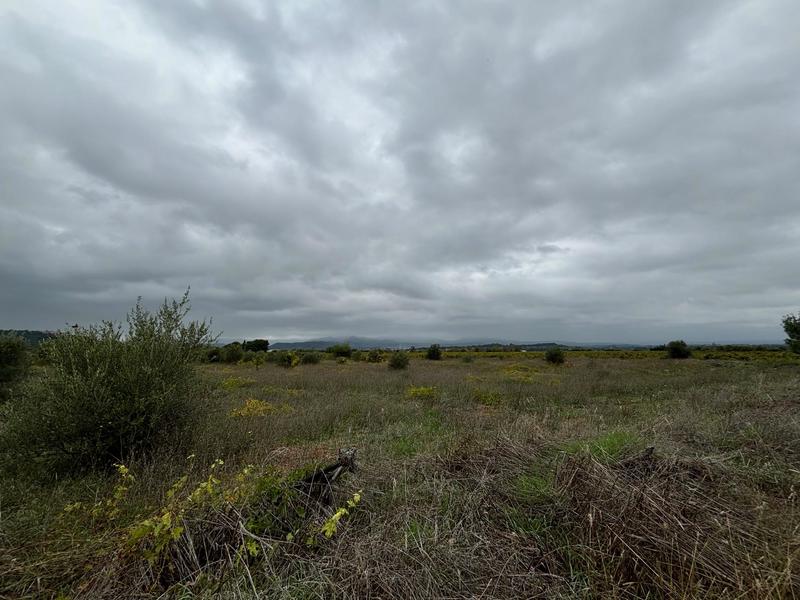 Terrain agricole - 12 476 m²