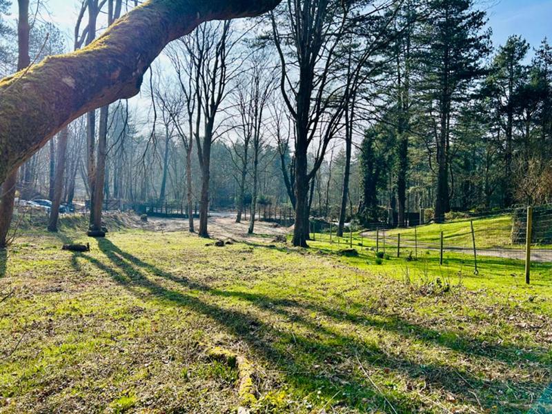 Terrain constructible - 1 834 m²