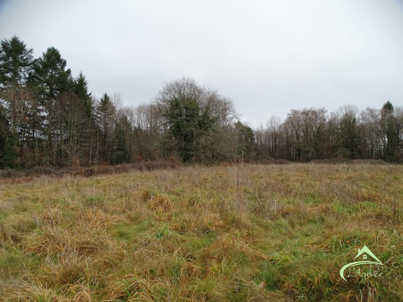 Terrain agricole - 10 541 m²