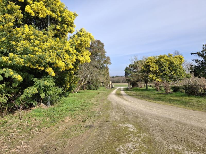 Maison traditionnelle - 243 m² - 9 pièces