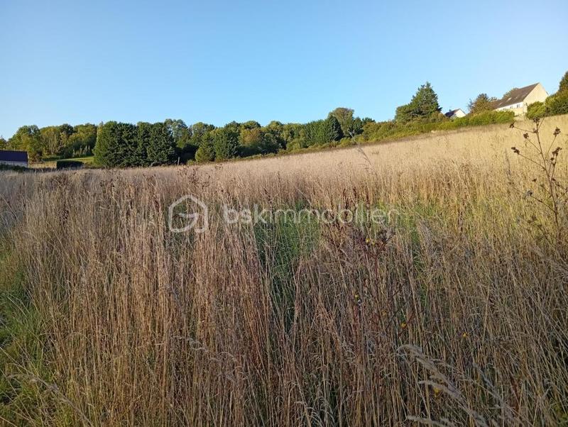 Terrain agricole - 10 469 m²