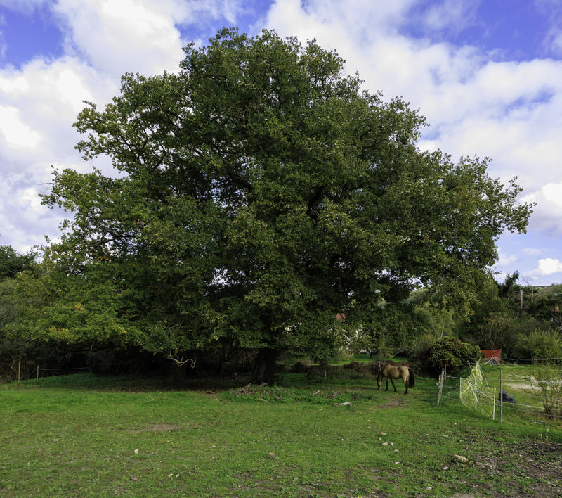 Ferme - 148 m² - 5 pièces