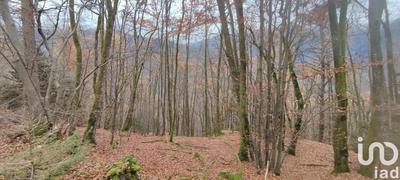 Terrain - 61 700 m²