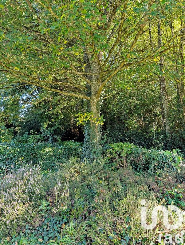 Maison de campagne - 180 m² - 6 pièces