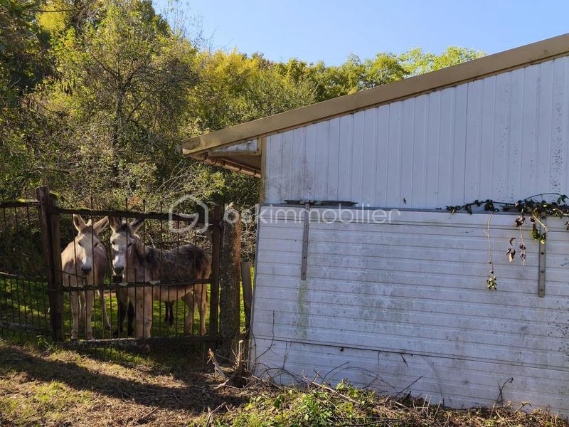 Propriété - 112 m² - 6 pièces