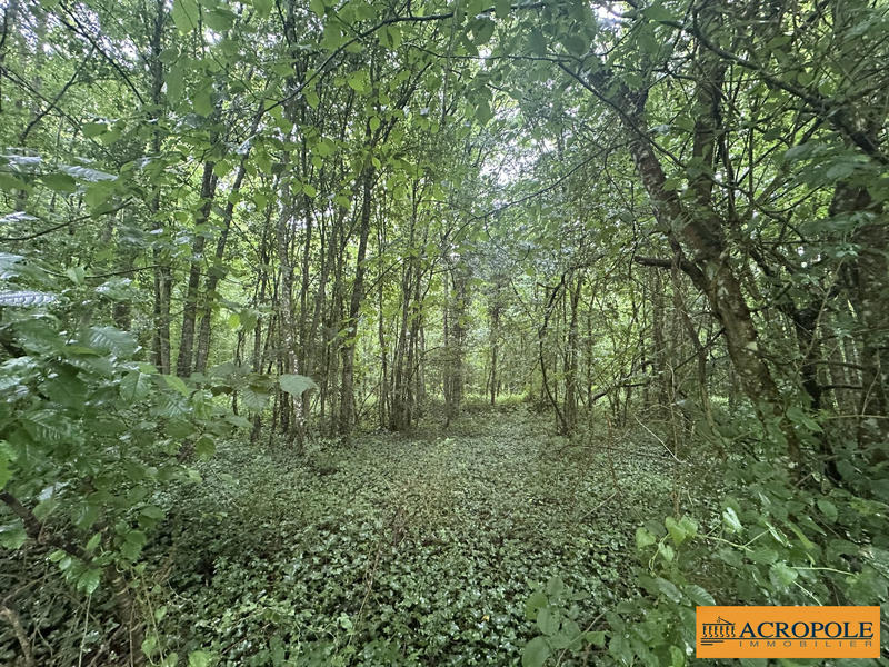 Terrain de loisirs - 20 820 m²