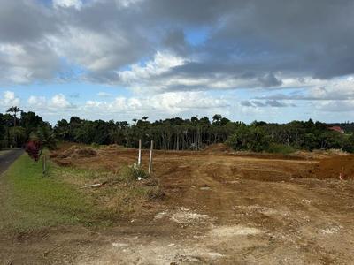 Appartement - 515 m² - 1 pièce