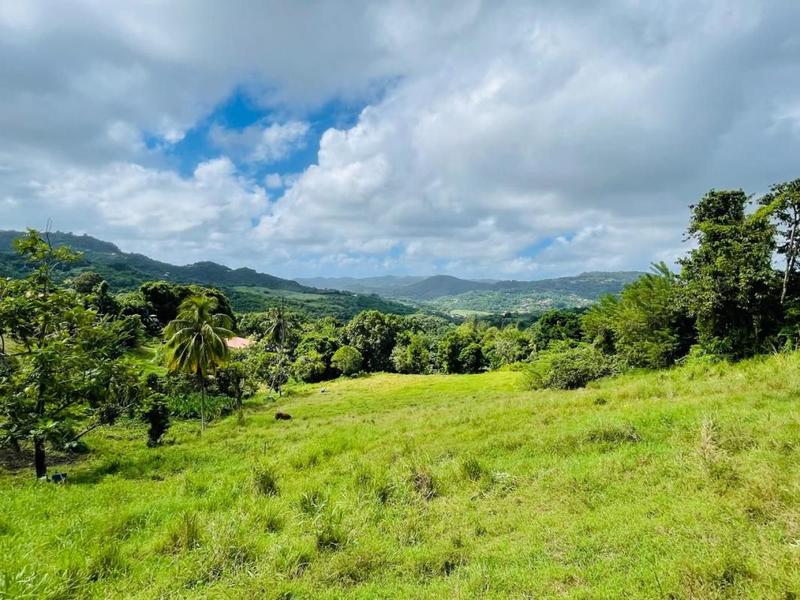 Terrain constructible - 2 400 m²