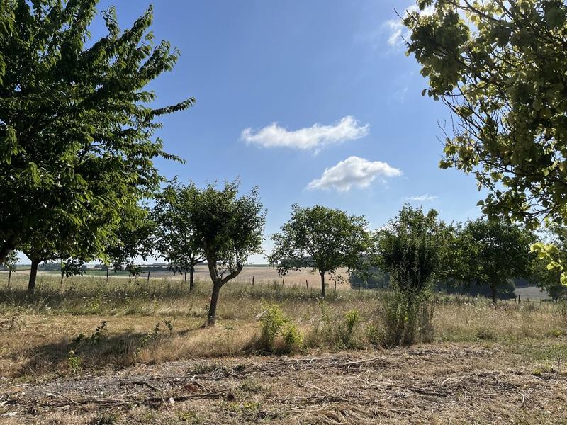 Maison ancienne - 266 m² - 8 pièces