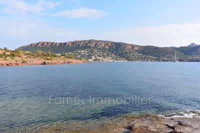 Fonds de commerce - Magasins - 400 m²