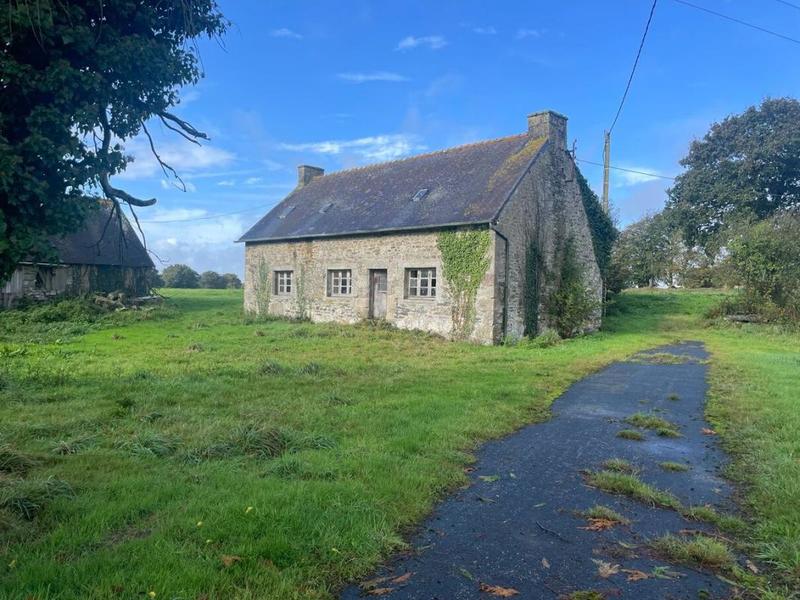 Corps de ferme - 71 m² - 1 pièce