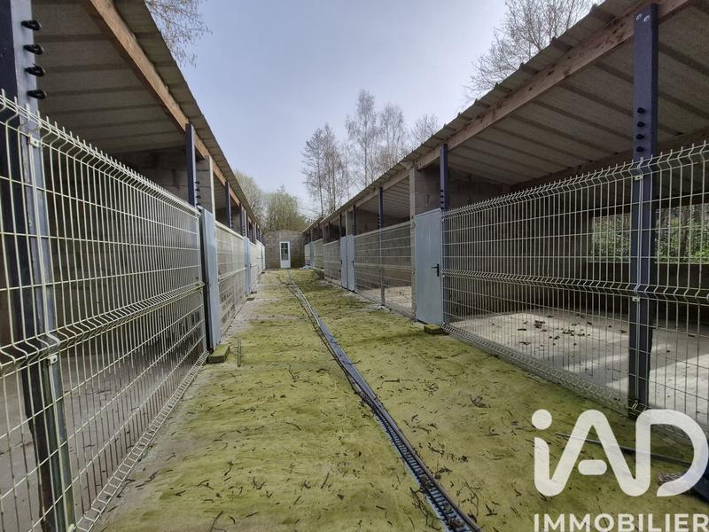 Maison - 146 m² - 5 pièces