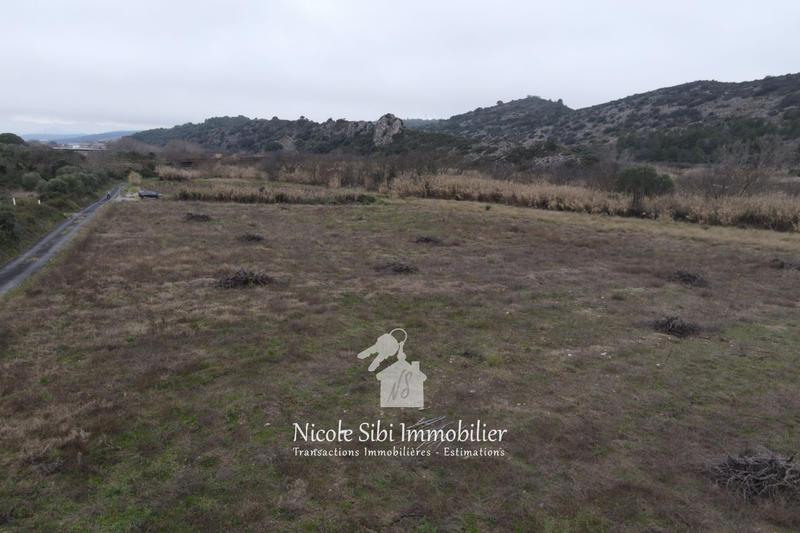 Terrain agricole - 9 980 m²