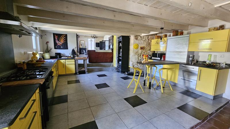 Maison - 530 m² - 15 pièces