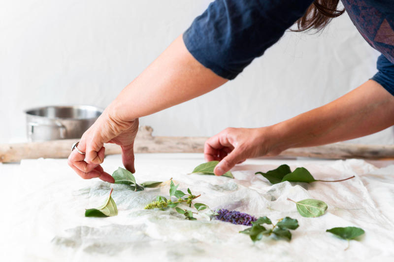 Atelier parent/enfant : cyanotype nature