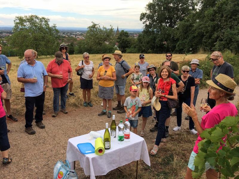 Verres à pied : découverte du vignoble