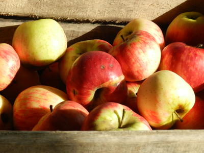 Marché hebdomadaire de la Ville-aux-Clercs