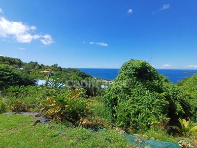 Terrain constructible - 4 516 m²