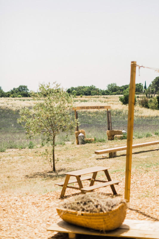 Visite des champs de lavande à Terre Ugo
