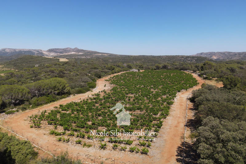 Terrain agricole - 18 500 m²