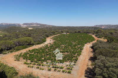 Terrain agricole - 18 500 m²