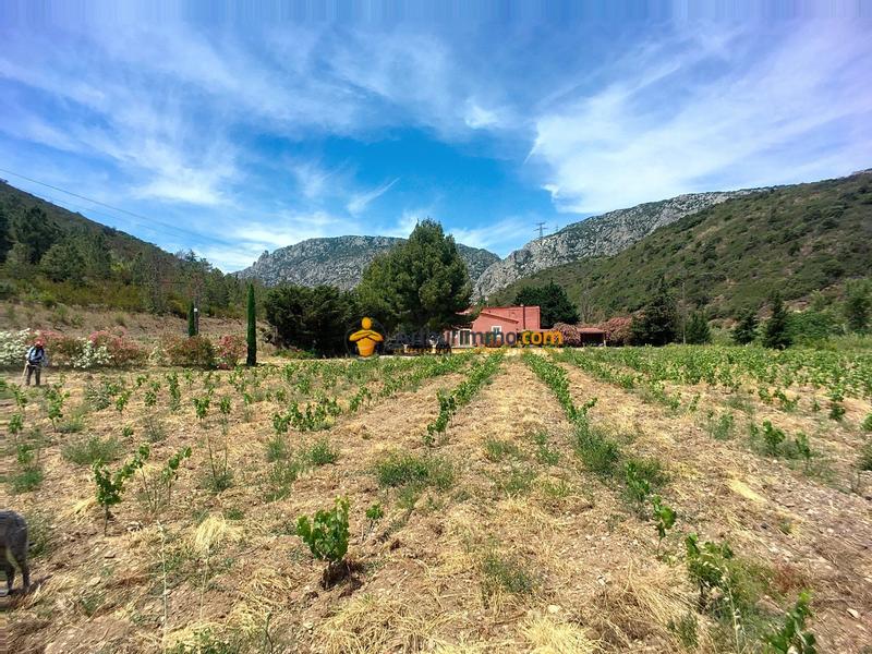 Maison - 178 m² - 6 pièces