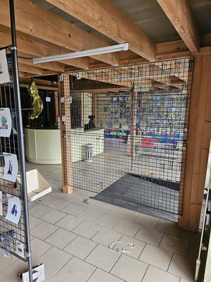 Local commercial - 218 m²