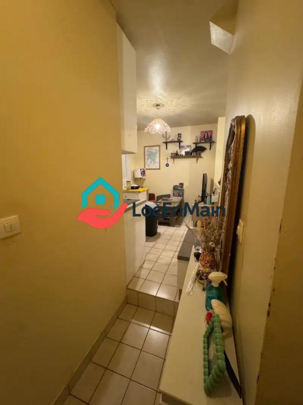 Studio - 25 m² - 1 pièce