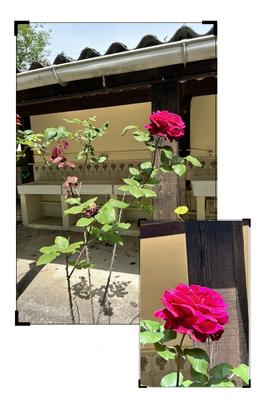 Camping les Petites Minaudières