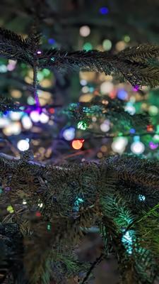 Noël féérique quartier Prado Paradis