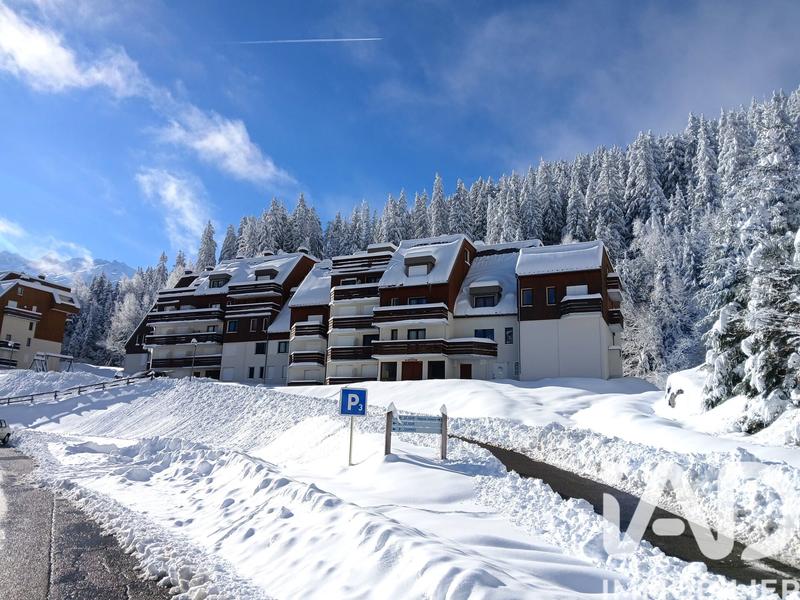 Studio - 15 m² - 1 pièce