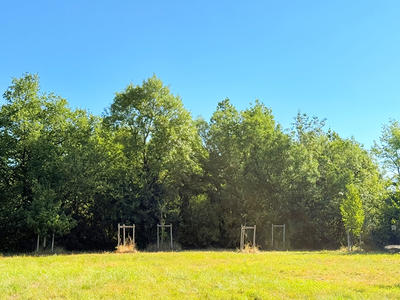 Terrain de loisirs - 7 830 m²