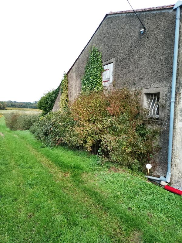 Maison - 140 m² - 1 pièce