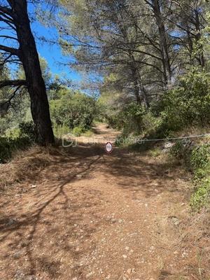 Terrain - 40 890 m²