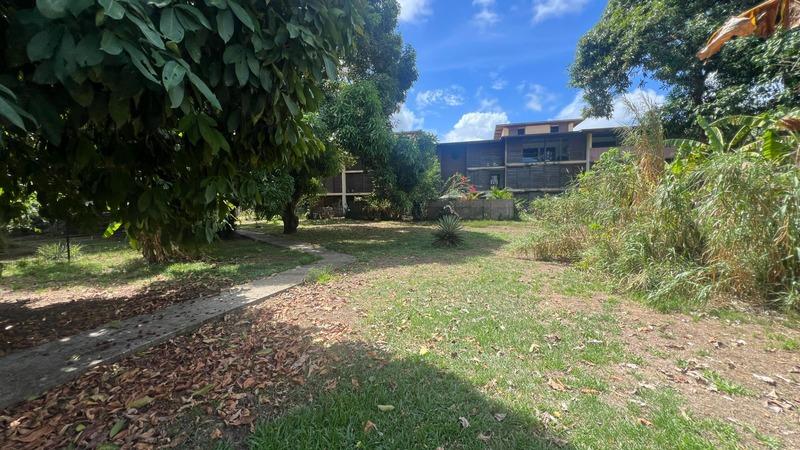 Appartement bourgeois - 48 m² - 2 pièces