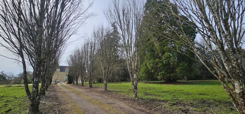 Manoir - 600 m² - 12 pièces