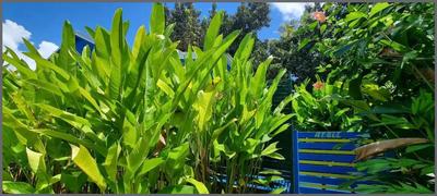 Maison - 22 m² - 2 pièces