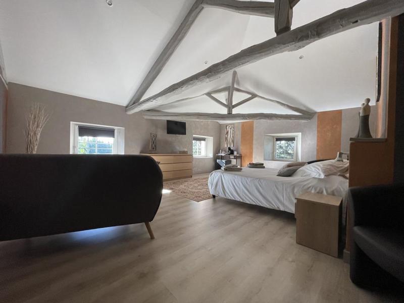 Maison de maîtres - 450 m² - 9 pièces