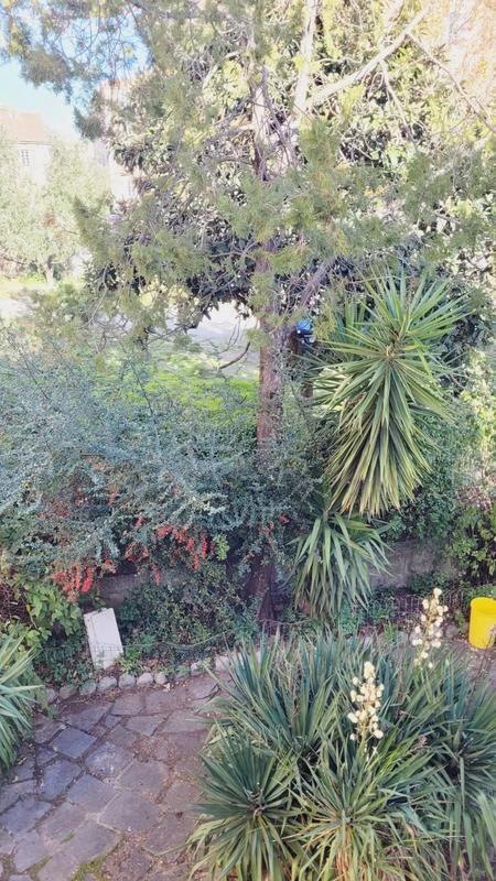 Maison - 117 m² - 4 pièces