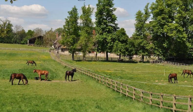 Manoir - 1 300 m² - 35 pièces