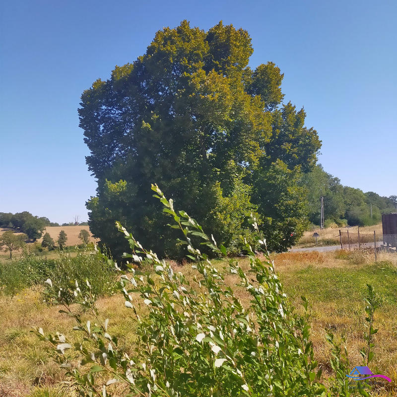 Maison - 67 m² - 4 pièces