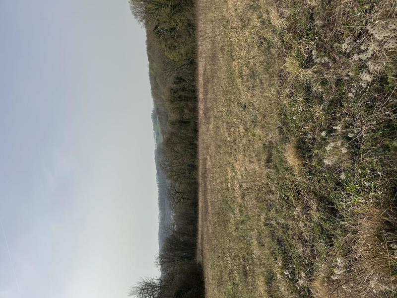 Terrain constructible - 2 305 m²