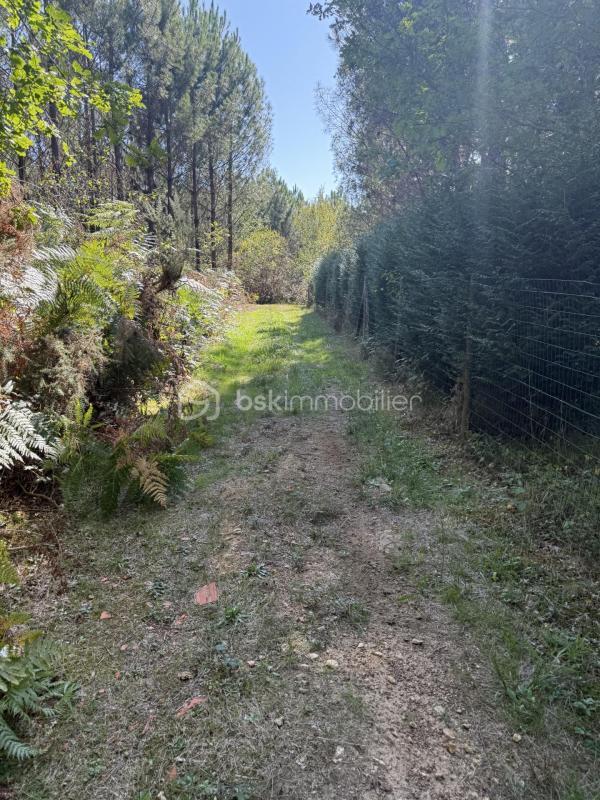 Forêt - 1 458 m²