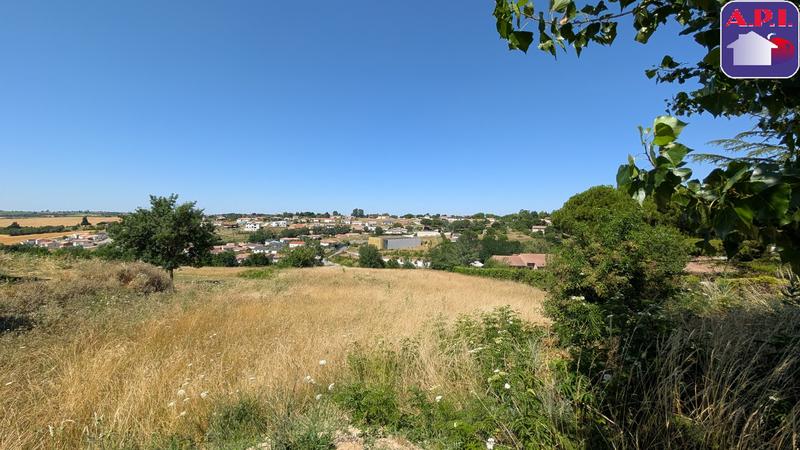 Terrain - 595 m²