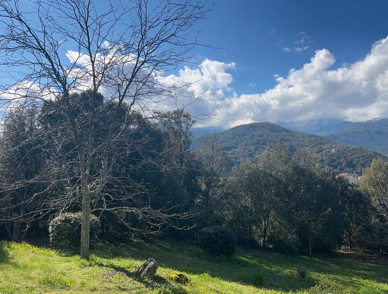 Maison - 266 m² - 9 pièces