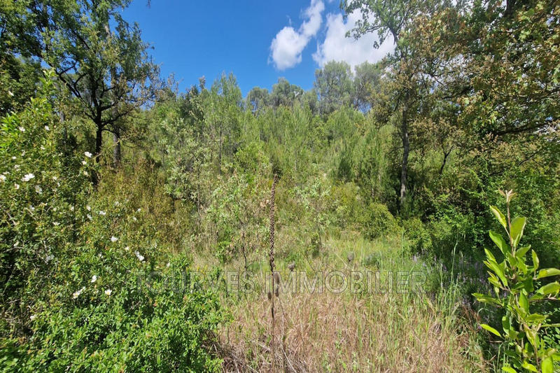 Terrain de loisirs - 10 748 m²