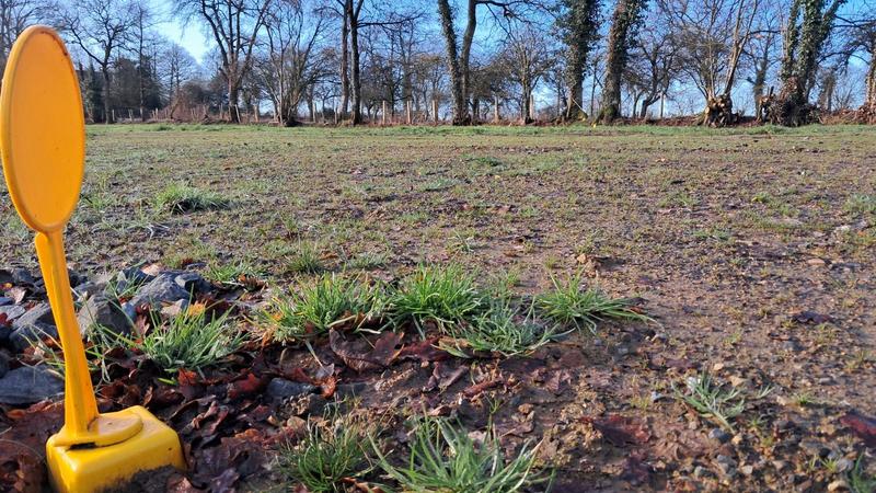 Terrain constructible - 317 m²