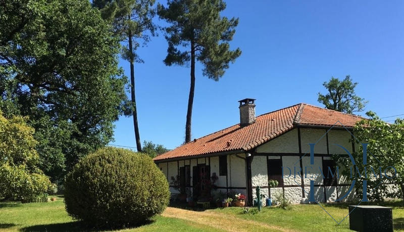 Maison ancienne - 160 m² - 9 pièces