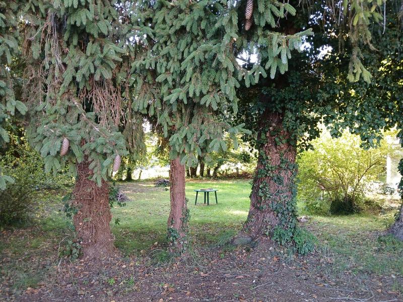 Maison - 40 m² - 2 pièces